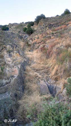 Regato de la Fuente Ventura