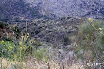 Regato de la Fuente Ventura