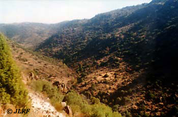 Río Morgaez
