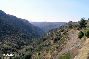 Río Morgaez