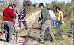 Noticia7