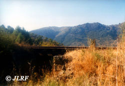 1º ponton del arroyo Zambullo