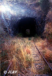 Túnel 11