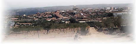 Vista de La Fregeneda