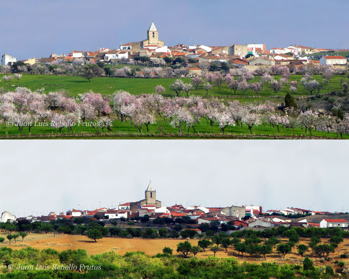 fregeneda_desde_tumbo.jpg
