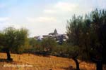fregeneda_desde_cruz_de_canto