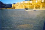 muelle_muro