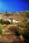 ponton_cegavinno_2