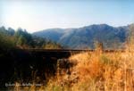 primer_puente_arroyo_zambullo