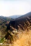 puente_almas_3