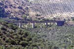 puente_almas_4
