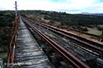 puente_froya_7
