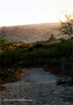 camino_penna_redonda
