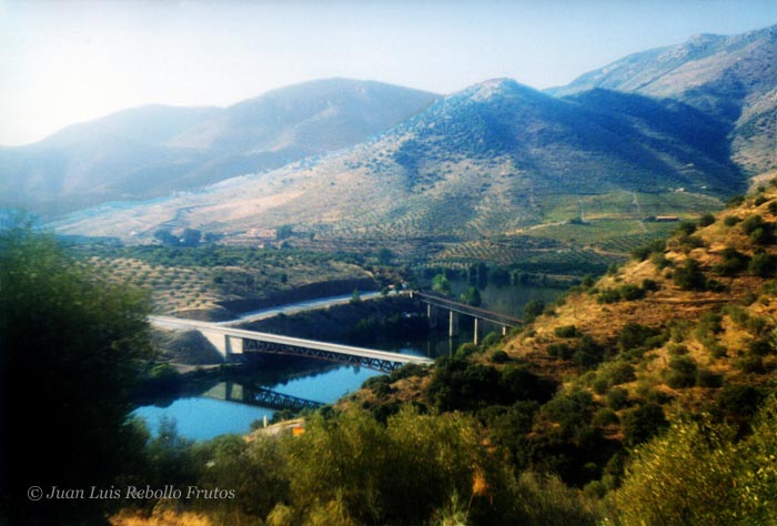 agueda_desde_san_martin.jpg
