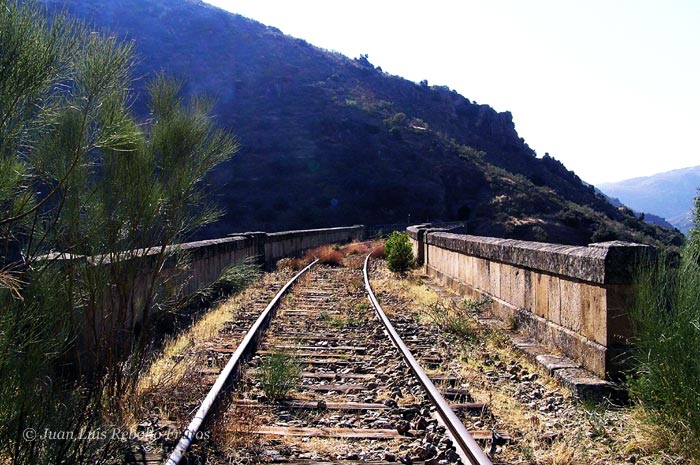 puente_arroyo_lugar_03.jpg