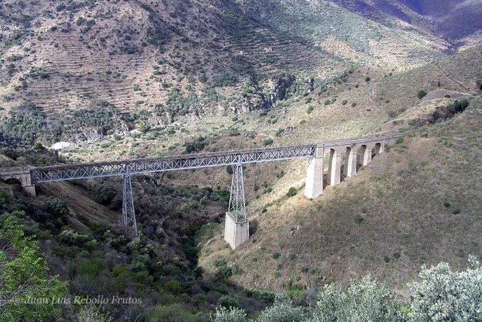 puente_arroyo_lugar_06.jpg
