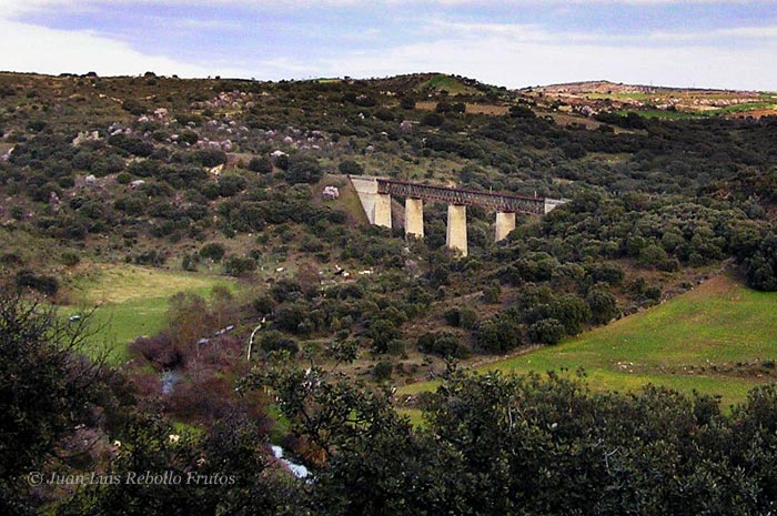 puente_froya_3.jpg