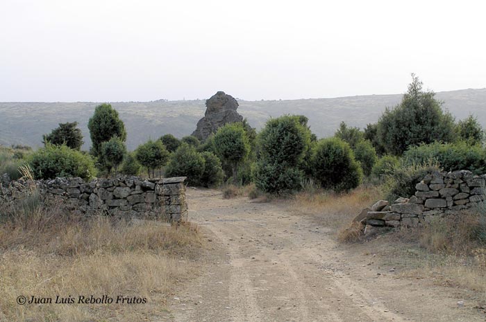penna_redonda.jpg