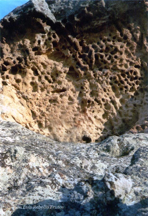 primer_piso_penna_redonda.jpg