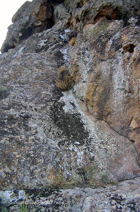 subida_segundo_piso_penna_redonda.jpg