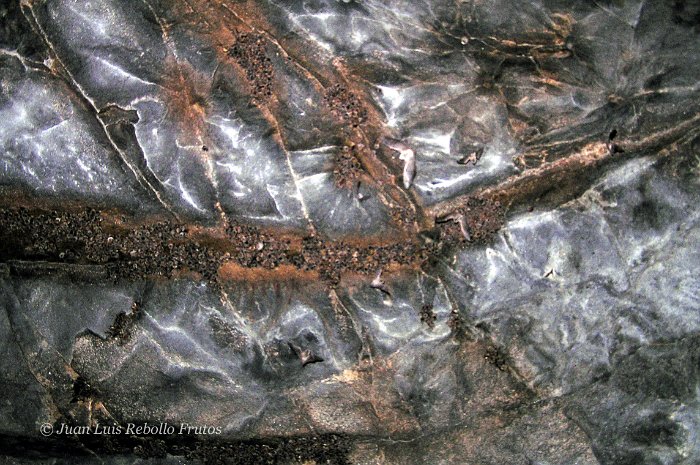 tunel03_a5.jpg - Túnel 3 (murcielagos)