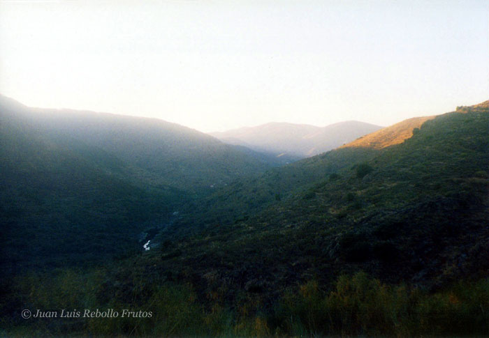 agueda-2.jpg
