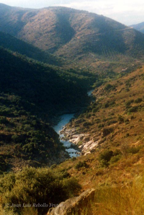 agueda_cegavinno.jpg
