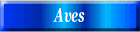 Aves