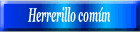 Herrerillo común