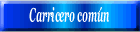 Carricero común