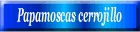 Papamoscas cerrojillo