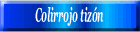 Colirrojo tizón