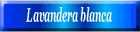 Lavandera blanca