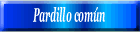 Pardillo común