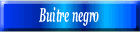 Buitre negro
