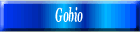 Gobio