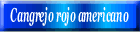 Cangrejo rojo americano