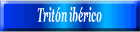 Tritón ibérico