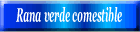 Rana verde comestible