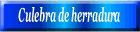 Culebra de herradura