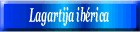 Lagartija ibérica