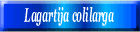 Lagartija colilarga