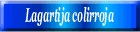 Lagartija colirroja