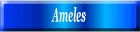 Ameles