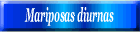 Mariposas diurnas