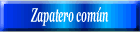 Zapatero común