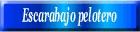 Escarabajo pelotero