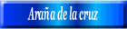 Araña de la cruz