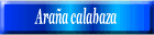 Araña calabaza