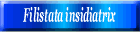 Filistata insidiatrix